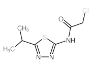 2-Chloro-N-(5-isopropyl-[1,3,4]thiadiazol-2-yl)-acetamide CAS:15777-41-0 第1张