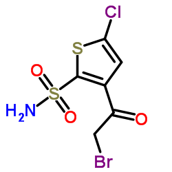 3-(2-Bromoacetyl)-5-chloro-2-thiophenesulfonamide Cas:160982-11-6 第1张