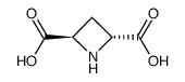 (2R,4R)-azetidine-2,4-dicarboxylic acid