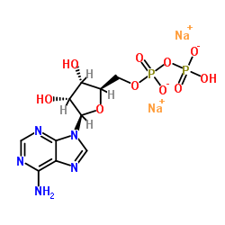 Adenosine 5'-diphosphate Disodium Salt(ADP-Na2) Cas:16178-48-6 第1张