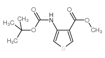 methyl 4-[(2-methylpropan-2-yl)oxycarbonylamino]thiophene-3-carboxylate