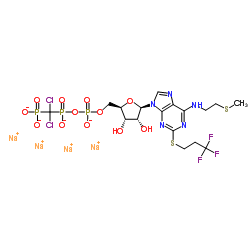 Cangrelor tetrasodium