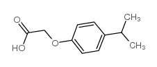 4-Isopropylphenoxyacetic acid CAS:1643-16-9 第1张