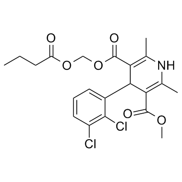 Clevidipine Butyrate Cas:167221-71-8 第1张
