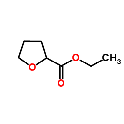 Ethyl tetrahydrofuroate CAS:16874-34-3 第1张