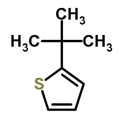 2-Tert-Butylthiophene CAS:1689-78-7 manufacturer price 第1张