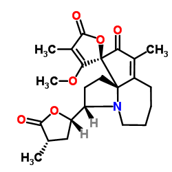 Protostemotinine