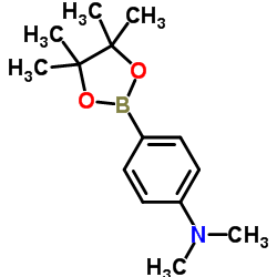 N,N-Dimethyl-4-(4,4,5,5-tetramethyl-1,3,2-dioxaborolan-2-yl)aniline