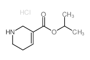 ethyl 1-methyl-3,6-dihydro-2H-pyridine-5-carboxylate,hydrochloride