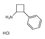 2-phenylcyclobutan-1-amine,hydrochloride CAS:17293-44-6 第1张