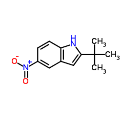 2-(2-Methyl-2-propanyl)-5-nitro-1H-indole