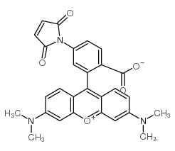 Tetramethylrhodamine-5-maleimide