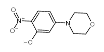 5-morpholin-4-yl-2-nitrophenol manufacturer in India China