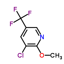 3-Chloro-2-methoxy-5-(trifluoromethyl)pyridine