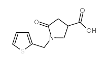 5-oxo-1-(thiophen-2-ylmethyl)pyrrolidine-3-carboxylic acid CAS:175136-92-2 第1张