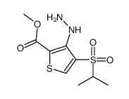 methyl 3-hydrazinyl-4-propan-2-ylsulfonylthiophene-2-carboxylate CAS:175201-97-5 第1张