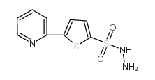 5-pyridin-2-ylthiophene-2-sulfonohydrazide