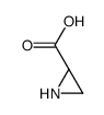 (2S)-aziridine-2-carboxylic acid