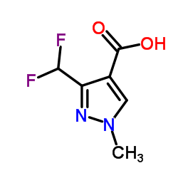 3-(difluoromethyl)-1-methylpyrazole-4-carboxylic Acid Cas:176969-34-9 第1张