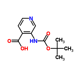 3-[(tert-Butoxycarbonyl)amino]isonicotinic acid