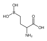 2-amino-4-boronobutanoic acid