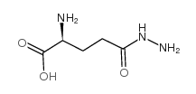 L-GLUTAMIC ACID γ-HYDRAZIDE