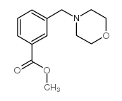 methyl 3-(morpholin-4-ylmethyl)benzoate