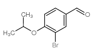 3-bromo-4-propan-2-yloxybenzaldehyde CAS:191602-84-3 第1张