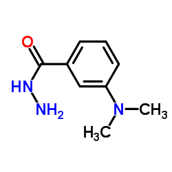 4-(Dimethylamino)benzohydrazide CAS:19353-92-5 第1张