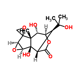 isohyenanchin