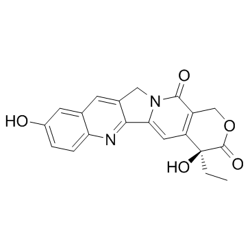 10-Hydroxycamptothecin Cas:19685-09-7 第1张