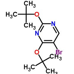 5-bromo-2,4-di-tert-butoxypyrimidine