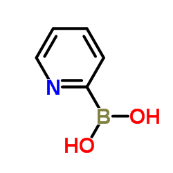 2-Pyridineboronic acid Cas:197958-29-5 第1张