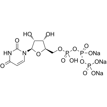 Uridine 5'-triphosphate Trisodium Salt UTP-Na3