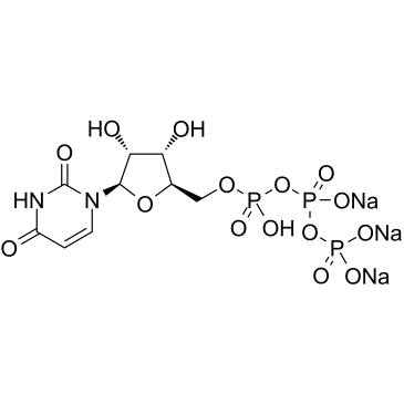 Uridine 5'-triphosphate Trisodium Salt UTP-Na3 Cas:19817-92-6 第1张