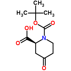 1-(tert-butoxycarbonyl)-4-oxopiperidine-2-carboxylic Acid Cas:198646-60-5 第1张