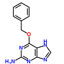 6-phenylmethoxy-7H-purin-2-amine Cas:19916-73-5 第1张