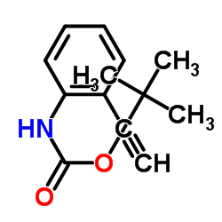 N-Boc-2-ethynylaniline