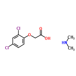 2,4-D Amine