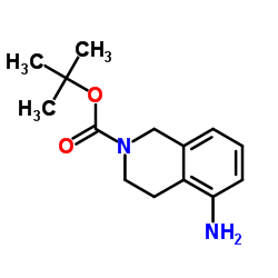 tert-Butyl 5-amino-3,4-dihydroisoquinoline-2(1H)-carboxylate