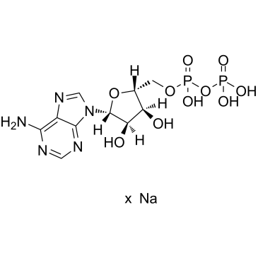 Adenosine 5'-diphosphate Sodium Salt（ADP） Cas:20398-34-9 第1张