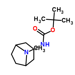 N-Boc-endo-3-aminotropane