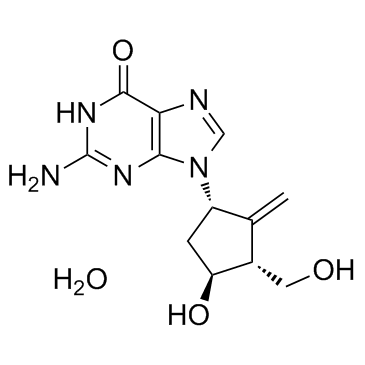 Entecavir Monohydrate Cas:209216-23-9 第1张