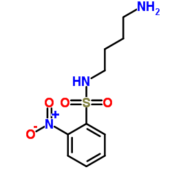 N-(4-Aminobutyl)-2-nitrobenzenesulfonamide