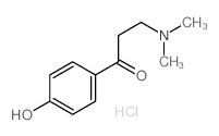 3-(dimethylamino)-1-(4-hydroxyphenyl)propan-1-one,hydrochloride CAS:2125-51-1 第1张