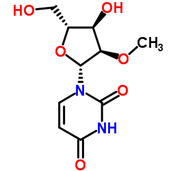 2'-O-methyluridine Cas:2140-76-3 第1张