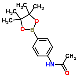 4'-(4,4,5,5-TETRAMETHYL-1,3,2-DIOXABOROLAN-2-YL)ACETANILIDE CAS:214360-60-8 第1张