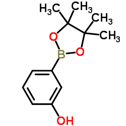 3-(4,4,5,5-TETRAMETHYL-1,3,2-DIOXABOROLAN-2-YL)PHENOL