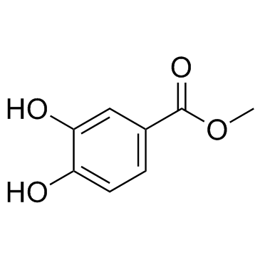 Methyl 3,4-dihydroxybenzoate CAS:2150-43-8 manufacturer price 第1张