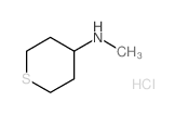 N-Methyltetrahydro-2H-thiopyran-4-amine hydrochloride CAS:220640-14-2 第1张